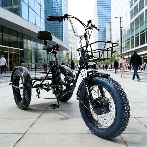 FRANREADER Triciclo per Adulti con Ruote Grasse, Elettrico e Pieghile, Design Compatto, Facile da Trasportare in Auto