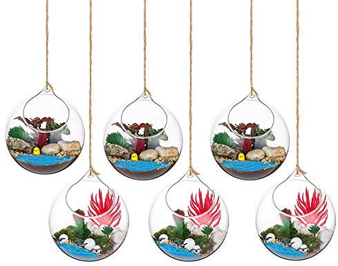Hängende Glaskugel Vase Glaskugel 6 Pcs Große Öffnung Sukkulenten Aufhängen Terrarium Glas Flower Air Pflanzgefäß Container 4.72 Inches für Home Party Hochzeitsgarten DIY Desig