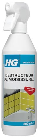 HG destructeur de moisissures
