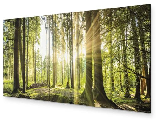 B&D XXL - Akustikbild Wald 150x60 cm 5 tlg Bilder Akustikschaum Schallschutz Akustikpaneele Wandpaneele Schalldämmung Wandbild Schallabsorber Akustikplatten Waldlandschaft Natur Baum c-C-0177-b-n