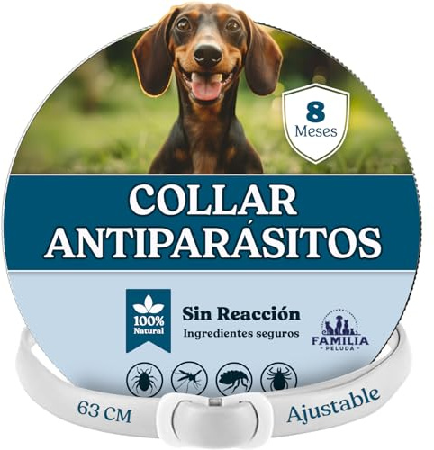 Collar Antiparasitario Perros, Collar antipulgas Perros pequeños y Grande, Leishmaniosis (Mosquitos), Pulgas y Garrapatas - 8 Meses - 63cm Ajustable, Repelente 100% Natural, Impermeable