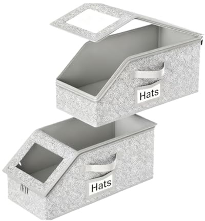 flaxarne Grigio Scatole Portaoggetti con Coperchio Cappelli,Organizer Armadio con Finestra Trasparente,Set di 2 Scatole per Camera e Scaffale,42×22×17cm