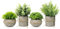 TFCIOD 4 Pièces Plantes Artificielles Interieur, Vert Plante Artificielle avec Pot, Plastique Fausses Plantes pour Deco Cuisine, Deco Bureau, Salon, Balcon (001)