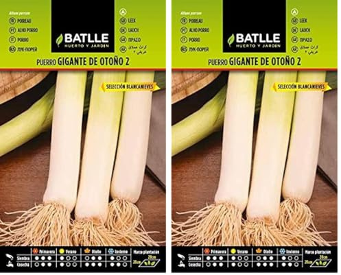 Semi Batlle – puerros (Confezione da 2)