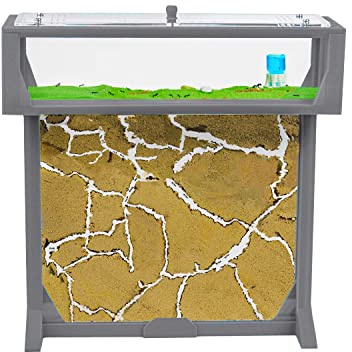 AntHouse.es - Hormiguero de Arena 3D 25x20x1,5 cm | Kit T Big Gris | Granja de Hormigas | Incluye Colonia de Hormigas