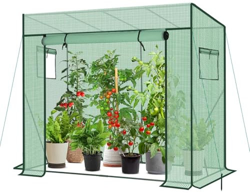Sekey Serre à tomates - 200 x 170 x 77 cm - Serre à tomates Accessible - Serre en Film Plastique - Stable - Résistante à l'hiver - Résistante aux UV - Blanc (Vert)