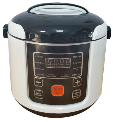 Mini Cuiseur à Riz électrique, capacité de 2 L, Pratique à Transporter, pour Légumes Cuits à la Vapeur, pour Voiture, Camion, Cuisine, Camping-car (24V)