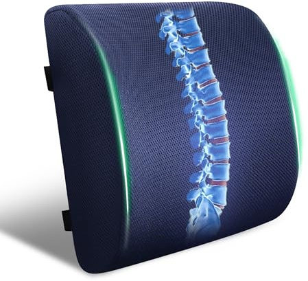 FuturaLoom Back Support Pillow for Office Chair and Car Seat,Lumbar Support for Office,Charcoal Memory Foam Back Cushion-Breathable Mesh Cover,Double Adjustable Straps,Dark Blue