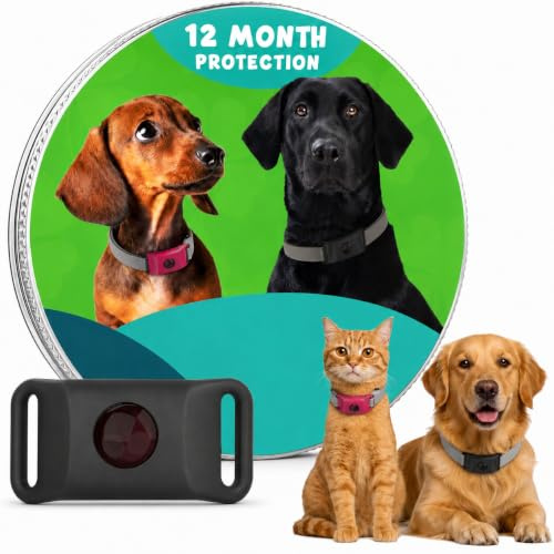 Collier Anti puces et tiques Chien jusqu'à 12 Mois de Protection Pendentif Naturel Anti parasites aux huiles essentielles répulsif résistant à l'eau réglable Chien et Chat extérieur Promenade