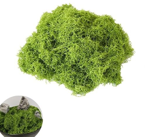 Ruikcoll Künstliches Moos, Kunstmoos, Moosdekoration, Kunstrasen zur Konservierung, Bastelmoos, künstlich für die Wandaquariumherstellung (150 g)