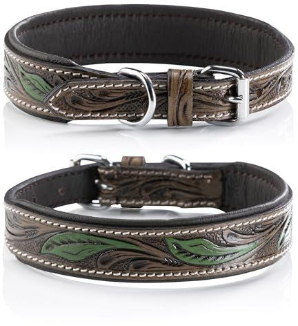 Jack & Russell Unikat Hundehalsband aus Leder, Hand-geschnitzt & gepolstert– Halsband aus Büffelleder, Hunde Lederhalsband braun/dunkelgrün Hailey (M (31,5-42,0cm))