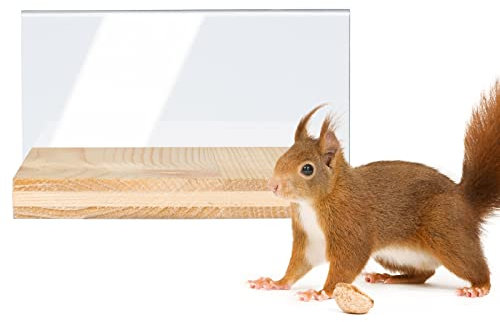 Système de maison d'animaux Gardigo Panneau frontal interchangeable pour la maison d'alimentation des écureuils | Fabriqué en Allemagne, en bois massif | Fabriqué dans un établissement social