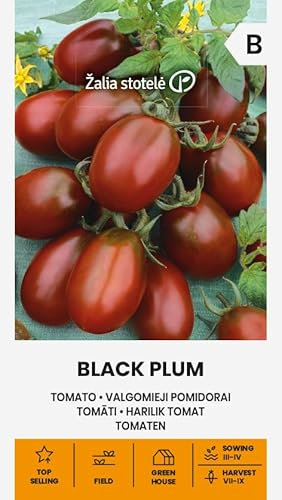 Zalia stotele | Tomaten - BLACK PLUM samen | Gemüsesamenc | Eine mittelfrühe, ertragreiche, hochstämmige Sorte | Tomatensamen | Pflanze samen | Gardensamen | 1 Pack