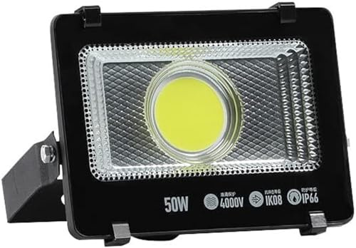 LED-strålkastare utomhus Superbright(50W)