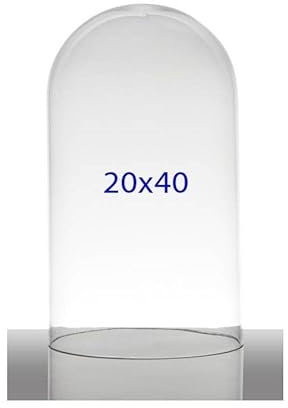 Chianese Campana Cupola in Vetro 20x40 cm | Teca Espositiva Trasparente | Campana di Vetro Grande per Decorazioni Centrotavola ed Esposizioni Eleganti