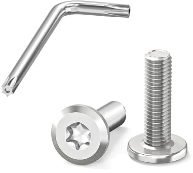 Dayalo 20 stycken platt huvudskruvar M6 x 20 mm, M6-skruvar Torx | Skruvar i rostfritt stål, gängade skruvar M6, rostfritt stål A2 V2A, helgängad, med nyckel för möbelbeslag och reparationer