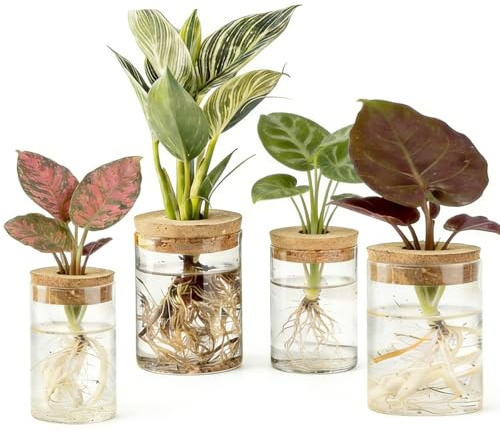 Glass Plant Propagation Station Set of 4, 2 Large and 2 Small Clear Borosilicate Glass Vases for Plant Propagation, Modern Nordic Hydroponic Propagation Stations for Home Office Decor