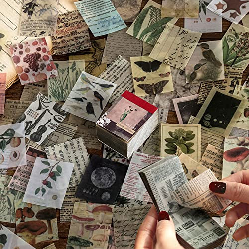 366 Hojas Álbum de Papel Decorativo DIY Scrapbooking Materiales Kit Vintage Pegatinas Retro Manualidades, Tiempos Antiguos, Letras, Hojas de Plantas, Semitransparente Mini Papel Creativo 40 x 50mm