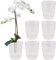 Santino 6er-Set Orchideentopf D 15cm.Selbstbewässernder Topf mit Dochtsystem und Wasserstandsanzeige für den Innenbereich (Transparent - 2L)