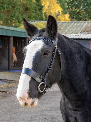 Aces Equine Leather Hunter Bridle Black With 2 Inch Noseband and 1 Inch Plaited Browband (FULL)