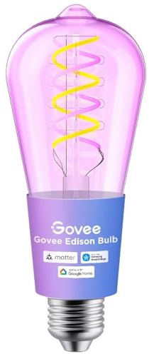 Govee Smart Edison Glühbirne E27, 500lm RGBWW LED Lampe ST64, 1 Stück