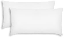 ALMOHADAONLINE Relleno de Cojín 30x60cm Pack 2 Tela Microfibra Tacto Pluma-Fabricado en España–Fibra Siliconada Suave y Voluminosa,Transpirable–Ideal para Cojines Decorativos,Sofás,Camas(2, 30x60 cm)