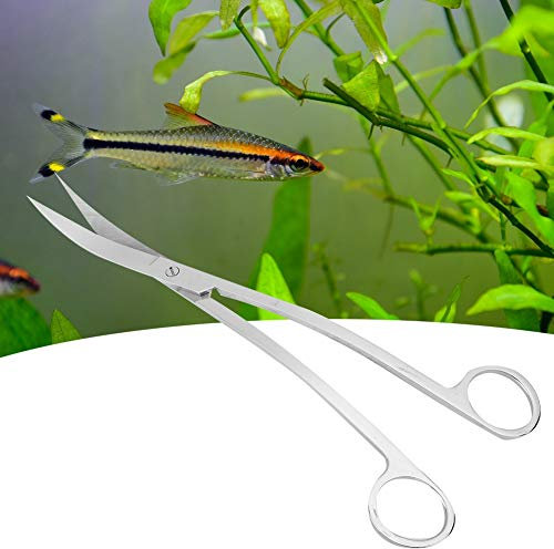 Ciseaux de Plante Cisaillement, en Acier Inoxydable Aquarium Aquarium Nettoyage des Poissons en Plastique (Cisaillement des vagues)