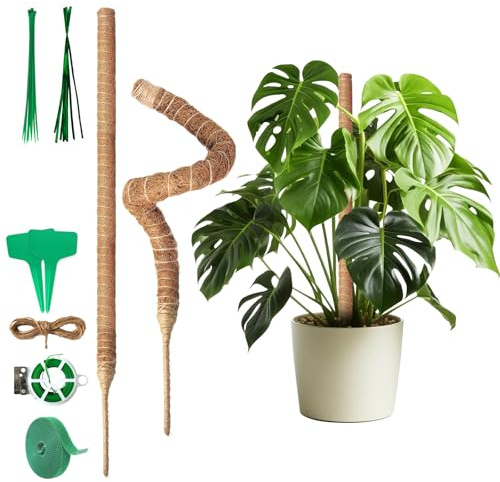 Monstera Rankhilfe 60 cm (2er Set) - Flexible Moosstab für Monstera aus Kokosfaser inkl. Zubehör und Pflanzenstütze für Kletterpflanzen im Innenbereich