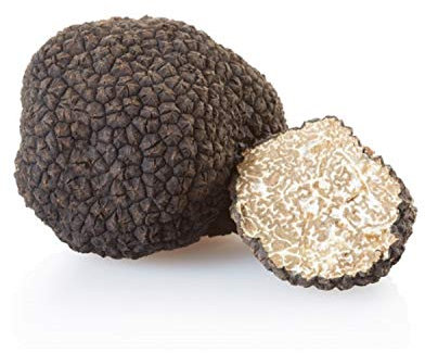 Mycélium de Truffe Blanche d'été Kit de culture champignons 15ml/50ml (Tube, 15ml)