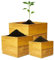 Teak Pur Blumentopf - Blumenkübel aus 100% Teakholz für innen & außen - wetterbeständig & langlebig - mobiler Pflanzentopf Dank 360° Rädern - 30 Tage testen - inkl. Auslaufbohrung (Set)