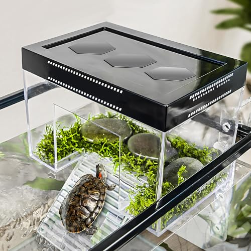 Plate-forme de prise de soleil pour tortues réglable en hauteur avec pendentif et couvercle avec rampe, 25 x 16 x 16 cm PC transparent petit sur réservoir d'aquarium pour tortues terrestres bébés