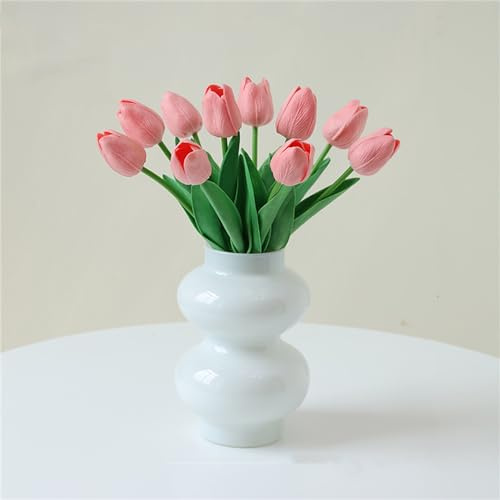 JSPYFITS Ins Moderne Vasen, Hydroponische Glasblumenvase, Tulpenvase Glasblasenvase für Blumen, Doppelte Kugeln Farbige Glasvase für Dekoration, Geometrische Glasvase für Haus/Büro/Party（Weiß）