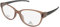 Rodenstock Brille R8016 B 53 Damen Beige
