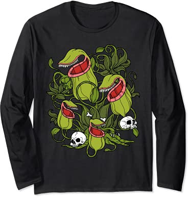 Plantes carnivores Sarracenia Northern Pitcher Plant Manche Longue