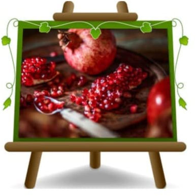 Merveilleuse grenade précoce Arbres fruitiers Hauteur: 150~170 cm Âge: 2 années Pot: 20 cm