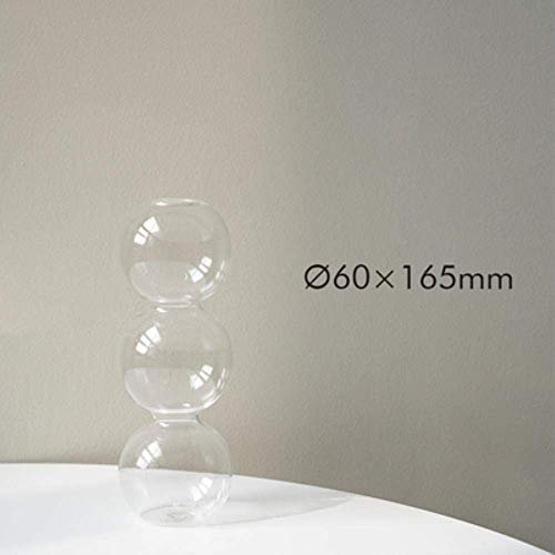 zalati Vase en verre avec boule de cristal style bulle pour arrangement floral, articles hydroponiques, décoration d'intérieur