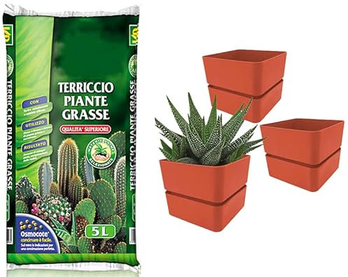 VIRSUS Kit Sacca Terriccio Piante Grasse 072 da 5LT + 3 Vasi quadrati con sottovaso 309 misura 12x11cm, Terriccio elevata capacità drenante, vaso per interno ed esterno per piante grasse (Coral)