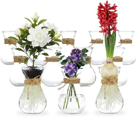 casavetro Juego de 12 jarrones de té con flores para decoración de mesa, boda, fiesta, botella de cristal transparente (12 unidades)