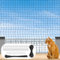 GMMG Katzennetz für Balkon, 3x4m Katzennetz Drahtverstärkt, Katzenschutznetz Ohne Bohren Schwarz, Balkonnetz, Katzen Schutz Balkon, Cat Net zur Sicherung von Balkon, Terrassen, Fenstern, Türen, Zäune
