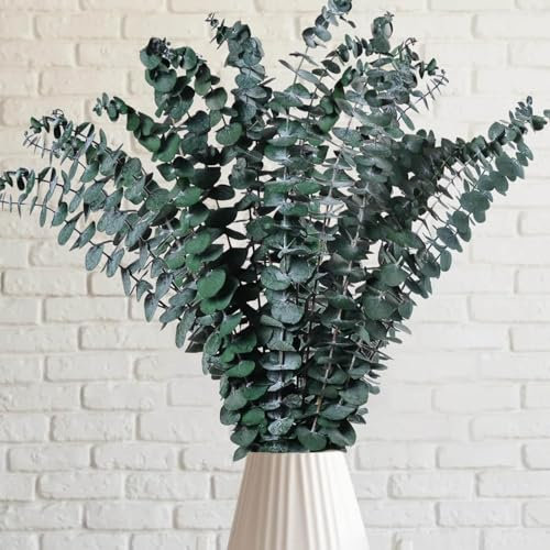 GUOYOU Juego de 24 plantas artificiales, flores artificiales, hojas de eucalipto, eucalipto, decoración de eucalipto, secas, ramas artificiales, ducha, arreglo floral, boda, corona de eucalipto