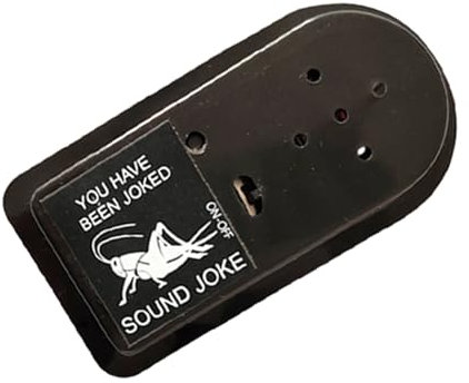 Liqzirtu Générateur de Sons électroniques Portables - Générateur de bruits de grillons | Mini-criquet Amusant pour Halloween, Jouet pour, Adultes, Maison et Bureau