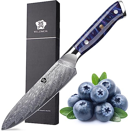 WILDMOK Cuchillo de Cocina, 12 cm Damasco Japón VG 10 Cuchillo de Cocina de Acero, Cuchillo de Chef de Cocina Afilado, Mango ergonómico de Resina de Color, Caja de Regalo de Lujo