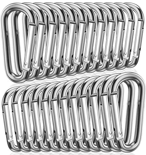STURME 2 Aluminum D Ring Carabiners Clip D Shape Spring Loaded Gate Small Keychain Carabiner Clip Set for Outdoor Camping Mini Lock Snap Hooks Spring Link Key Chain Durable Improved 24 PCS (Silver)