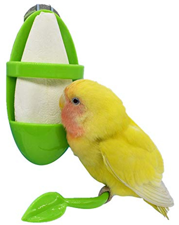 jatour 1 Porte Seiche Perruche, Tasse d'Perroquet, Support Nourriture pour Oiseaux, Support Perroquet, Seche pour Perruche pour La Peau Tigre, Pivoine, Xuanfeng, Perroquet