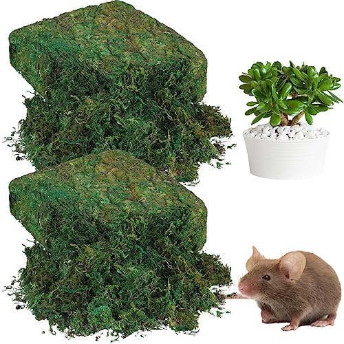 Zeyune 56.4 oz Fake Artificial Preserved Moss for Crafts Outdoor Faux Potted Plants DIY Decor Fresh Green Moss Garden Wedding Party Floral Indoor Table Terrarium Arts Centerpieces
