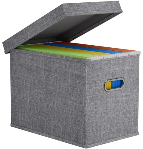 Lifewit A4 File Organiser Box, Document Storage Holder, Light Gray, 1 Pack | Portable Storage Box with Lid and Plastic Slide, Hanging Decorative Folder Organiser for School Home Office Supplies