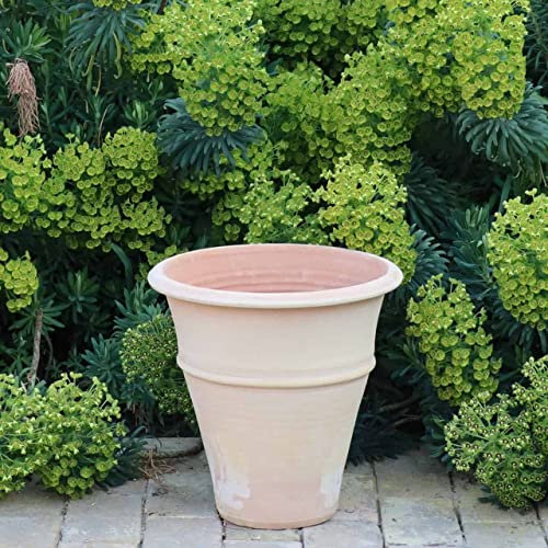 Palatina Ceramic Handmade Terracotta Planter/Flower Pot, Completely Frost-Resistant, Plant Pot for the Garden, Balcony or Patio, Yucca (35 cm)