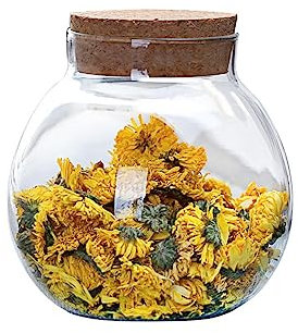 VASANA Tarro de vidrio transparente redondo hermético de 500 ml con tapas de corcho, contenedor de té, jarrón, botella ecológica, recipientes de almacenamiento de alimentos para el hogar y la cocina