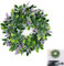 Corona de Eucalipto Artificial, Planta Artificial Colgante, para Boda, Fiesta, jardín, Puerta, Ventana, Pared, Chimenea, decoración (30 cm)