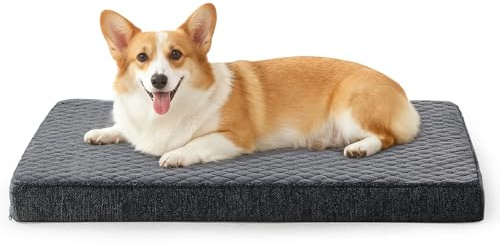 JOEJOY Cuccia Cane Interno Taglia Media, Cuccia per Cani Ortopedico, Letto per Cani Impermeabile Sfoderabile e Lavabile, Cuscino Cane, Base Antiscivolo, Grigio, 74x46x7.5cm